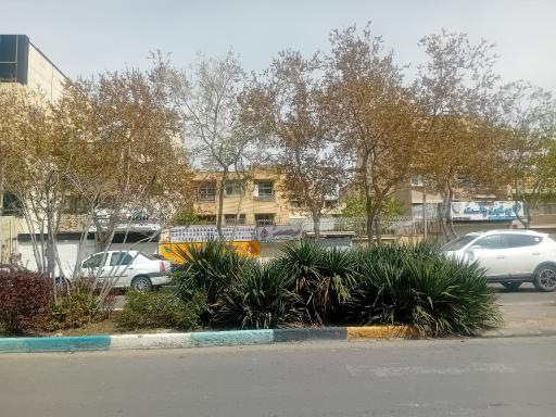 عکس پرشین پلاست  هاشمی