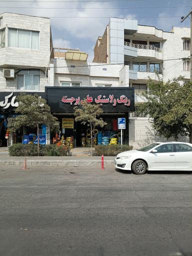 عکس رینگ و لاستیک  علی برجسته