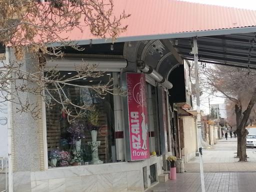 عکس گل آزالیا