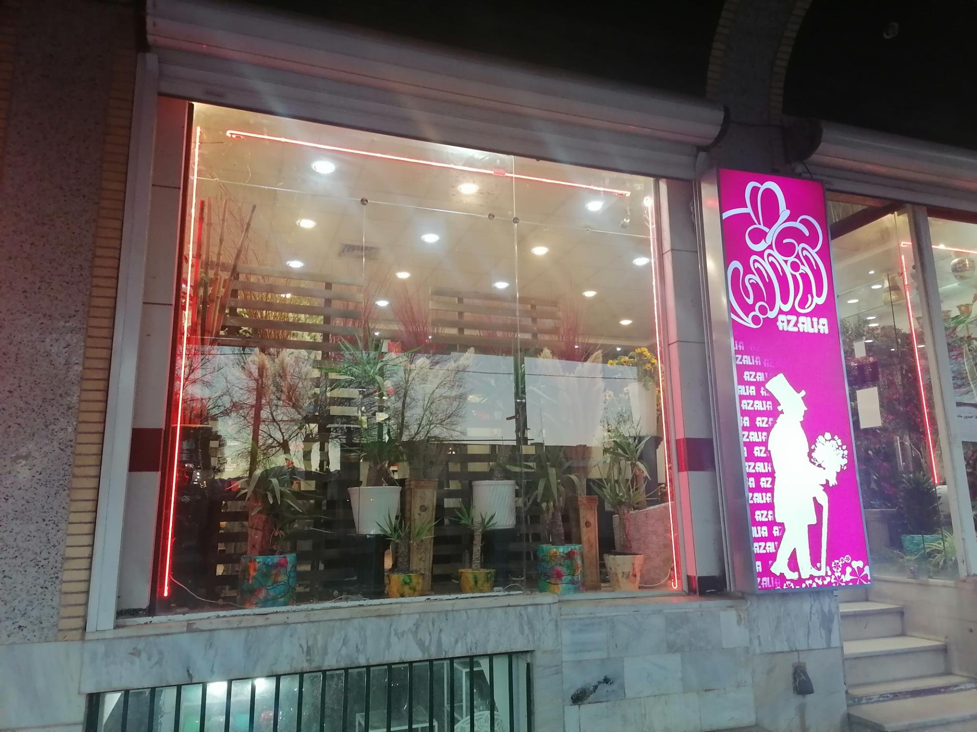 عکس گل آزالیا