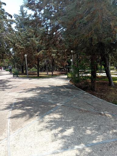 عکس بوستان تندرستی