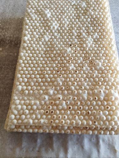 عکس نانوایی حاتم کریمی