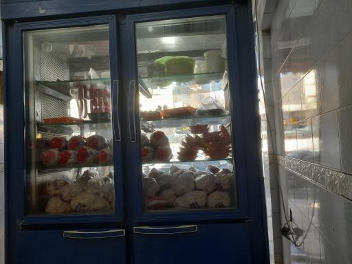 عکس مرغ و گوشت و ماهی جوجیتو