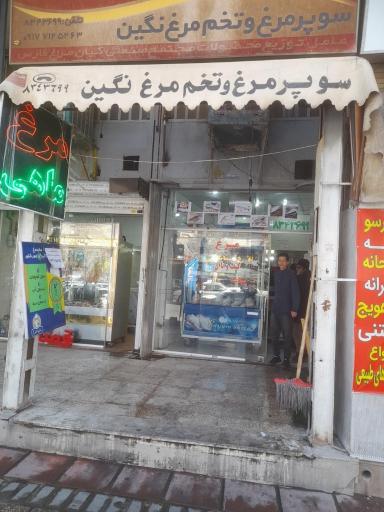 عکس مرغ و گوشت و ماهی جوجیتو