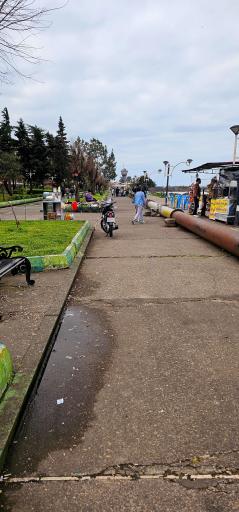 عکس پارک بزرگ قدس