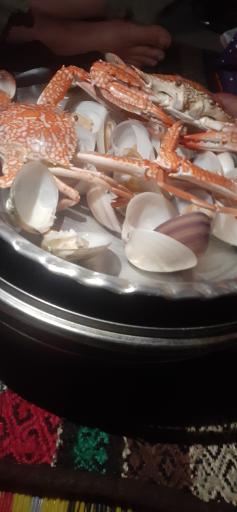 عکس فلافل و ساندویچ دایی