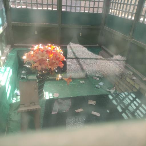 عکس امامزاده امین الدین محمد