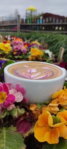 عکس رستوران پلاژ البرز