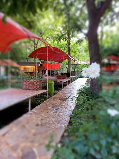 عکس مجموعه پذیرایی کلبه چوبی