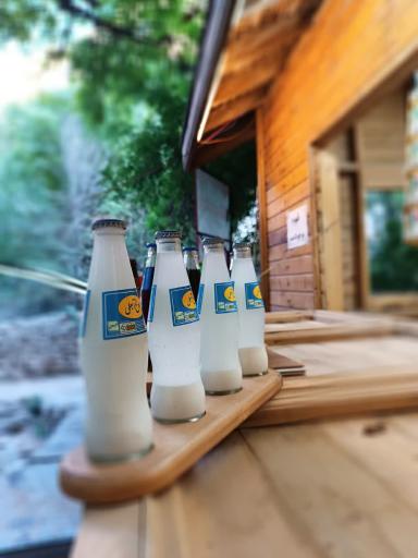 عکس مجموعه پذیرایی کلبه چوبی