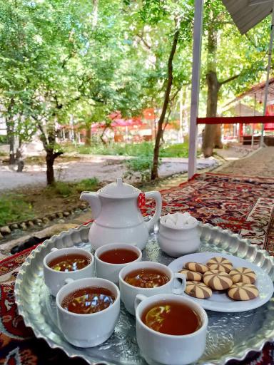 عکس مجموعه پذیرایی کلبه چوبی