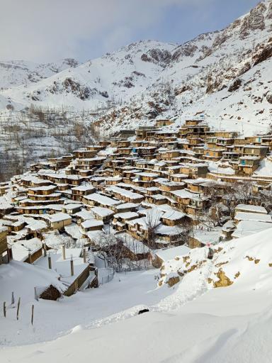 عکس سر آقاسید