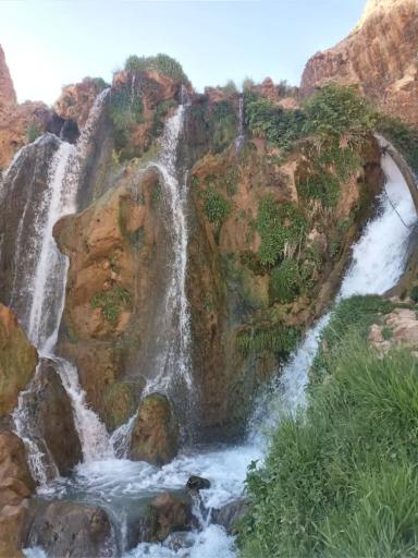 عکس سر آقاسید