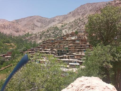 عکس سر آقاسید