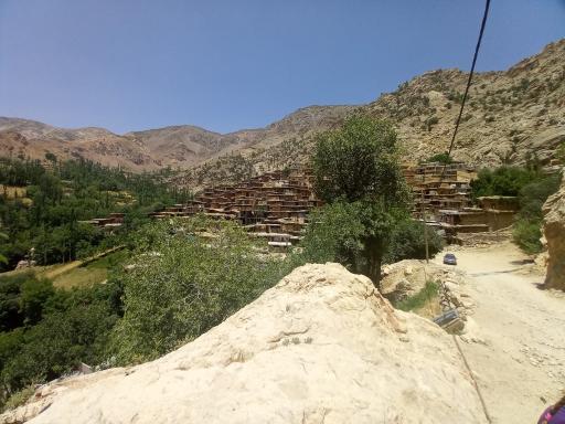 عکس سر آقاسید
