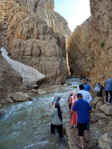 عکس سر آقاسید