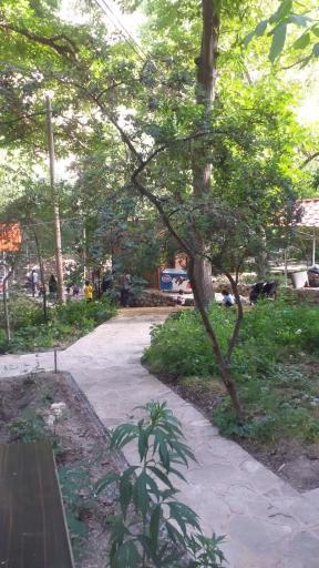 عکس مجموعه پذیرایی کلبه چوبی