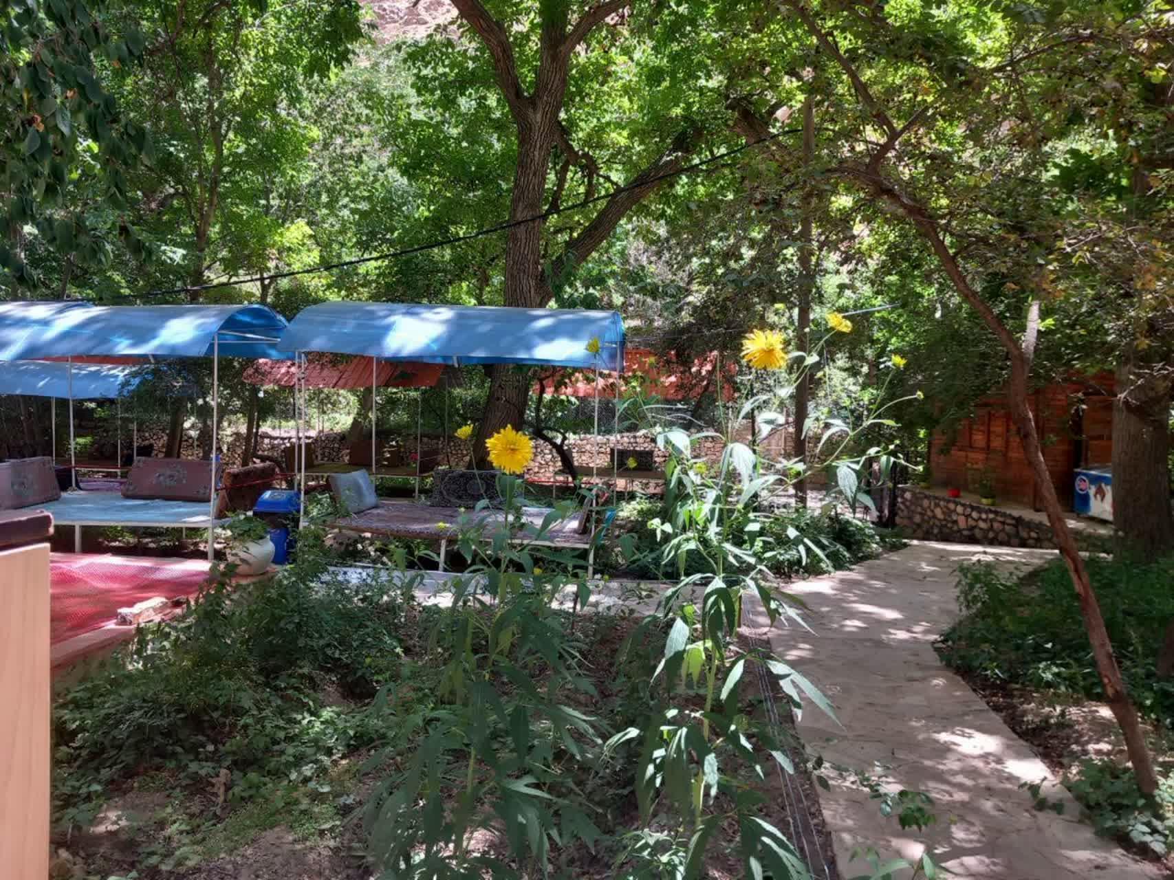 عکس مجموعه پذیرایی کلبه چوبی