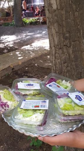 عکس مجموعه پذیرایی کلبه چوبی