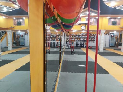 عکس باشگاه  داژبال