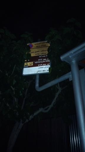 عکس شقایق جنوبی