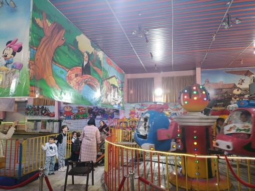 شهربازی سرپوشیده گلها