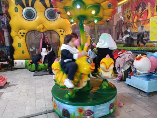 شهربازی سرپوشیده گلها