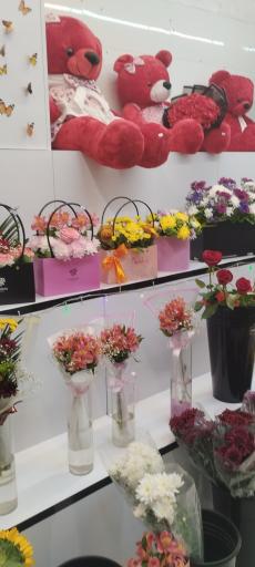 عکس گلفروشی بانوی اردیبهشت