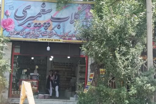 عکس گلاب پیغمبری