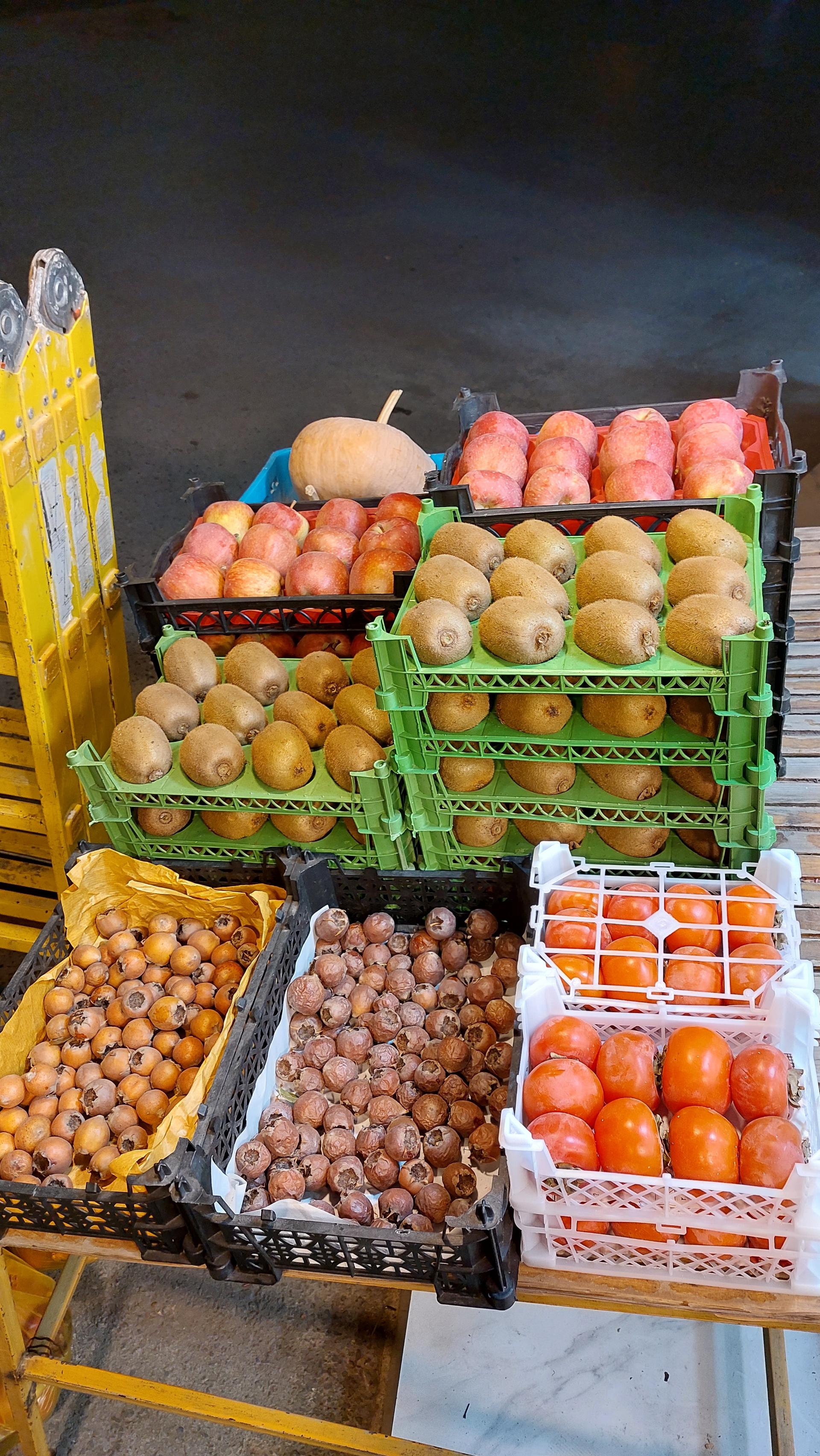 عکس میوه سرای خانی