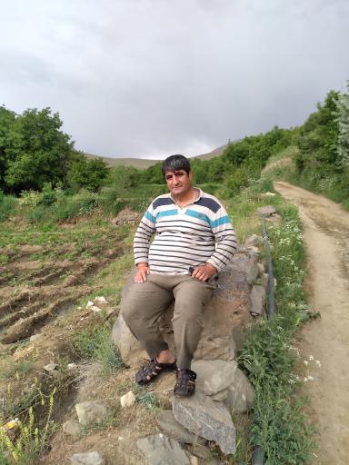 عکس سولان