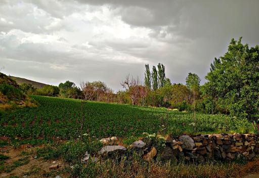 عکس سولان