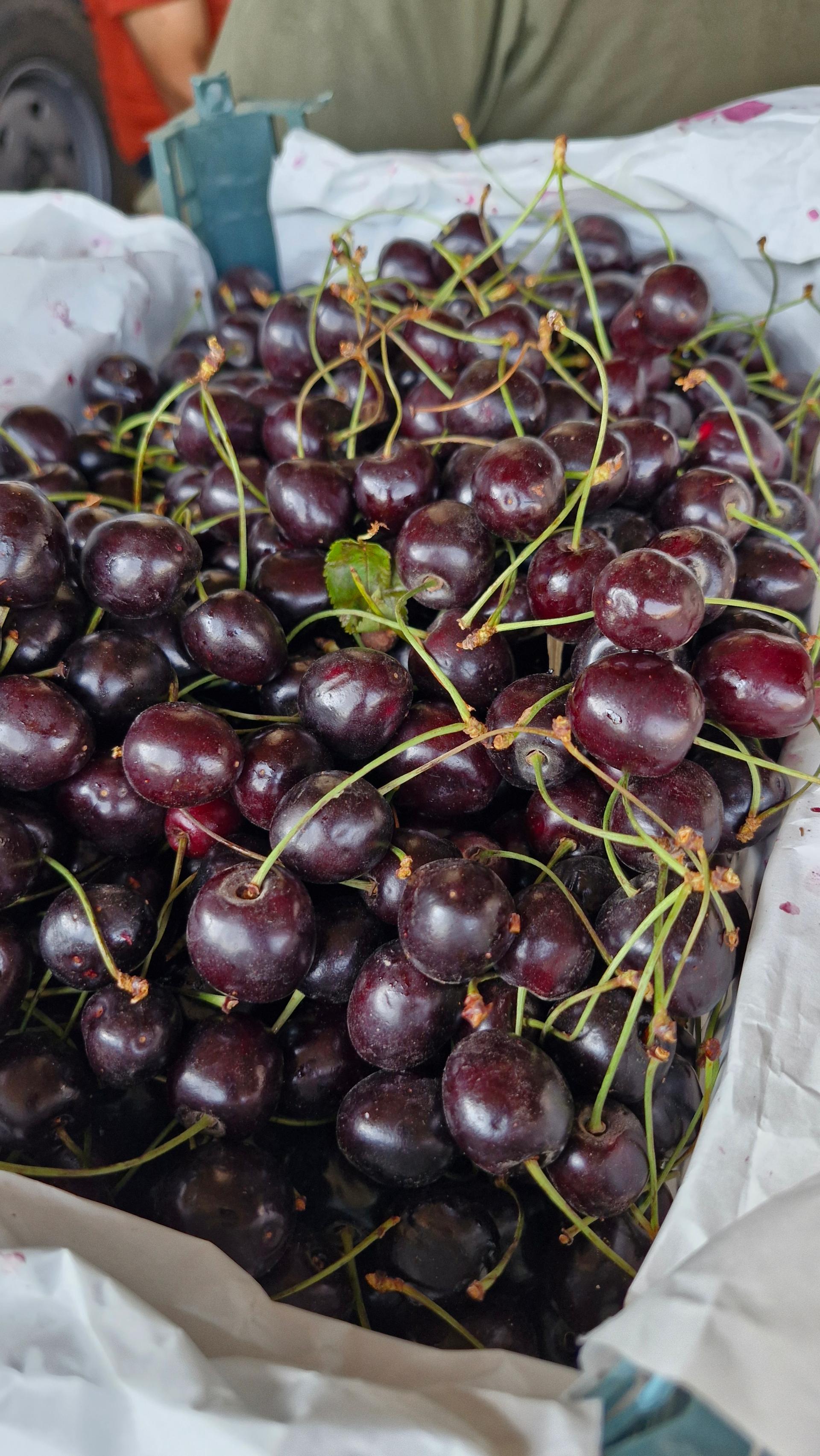 عکس بارفروشی و حق العمل کاری حاج علی ساکی