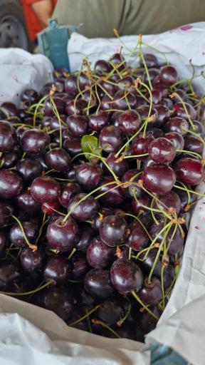 عکس بارفروشی و حق العمل کاری حاج علی ساکی