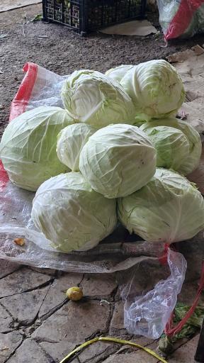 عکس بارفروشی و حق العمل کاری حاج علی ساکی