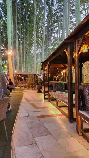 عکس رستوران کافه ارکیده