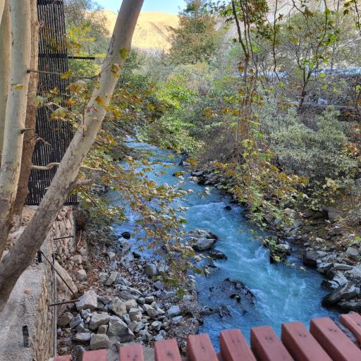 عکس رستوران کافه ارکیده