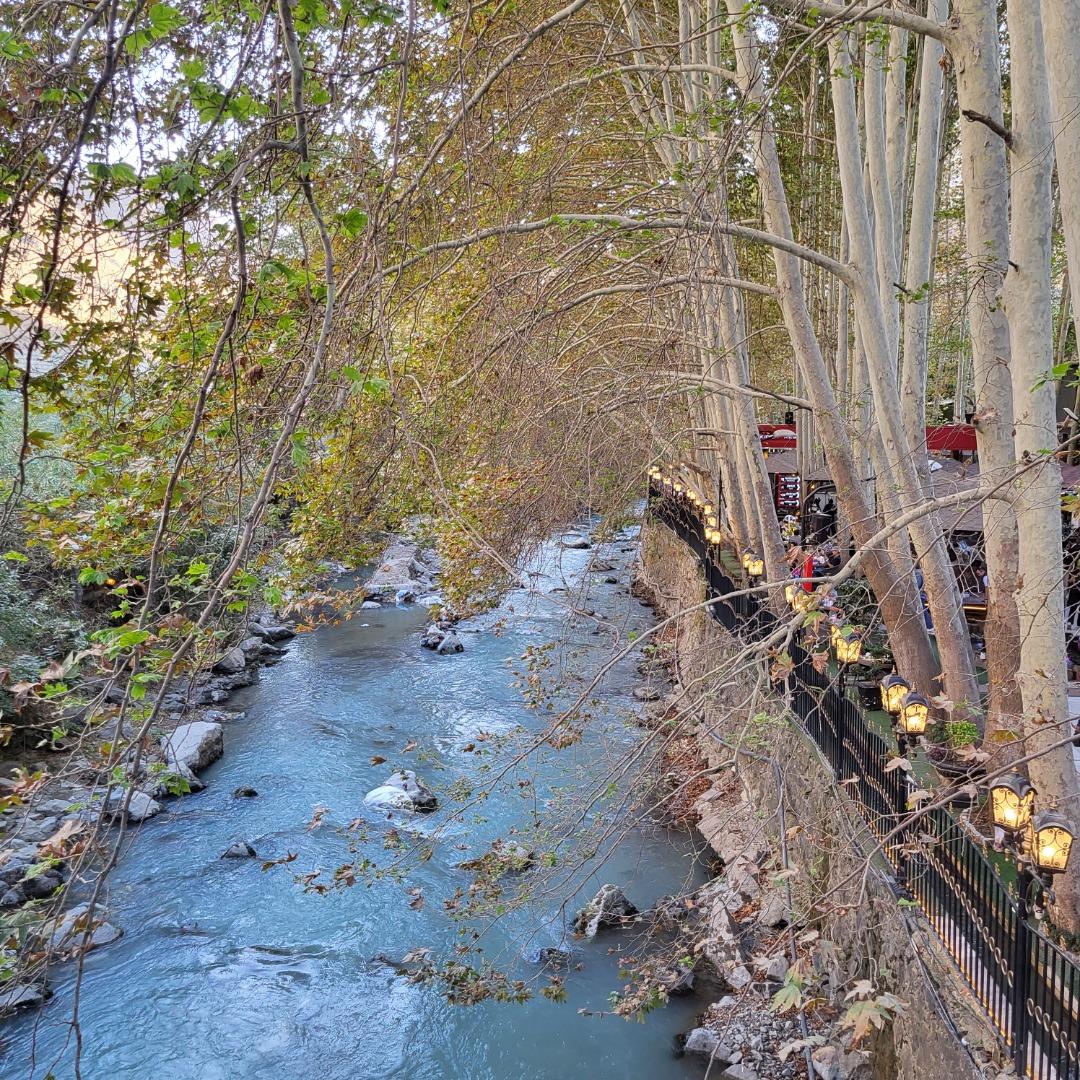 عکس رستوران کافه ارکیده