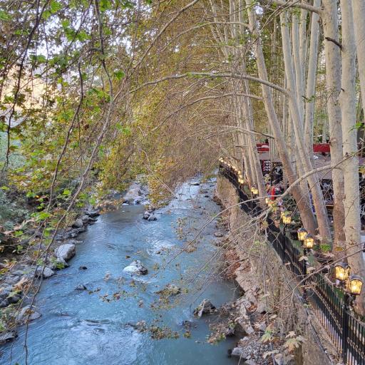 عکس رستوران کافه ارکیده