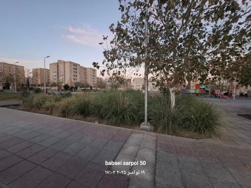 عکس بوستان یاس