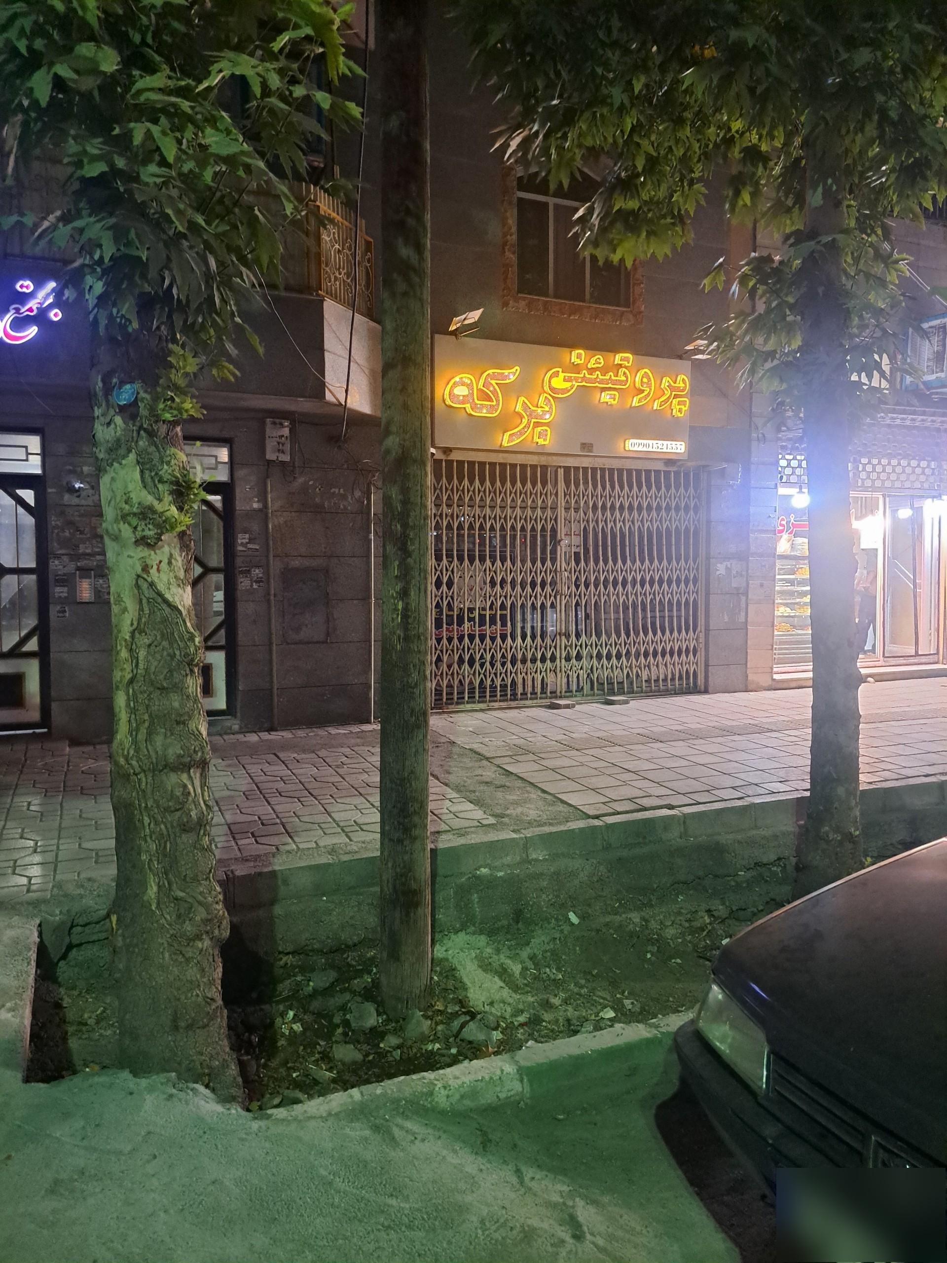 عکس پروتینی برکه