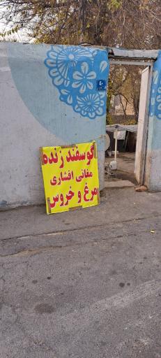 عکس گوسفند زنده تهران | دام سبز