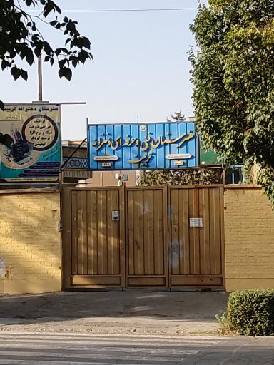 عکس هنرستان تربیت زرین شهر