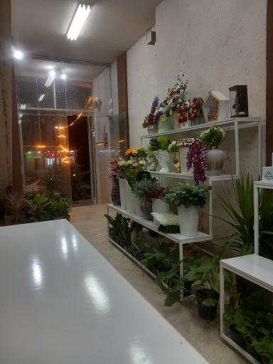 عکس گلسرای سفره سبز شعبه ۲