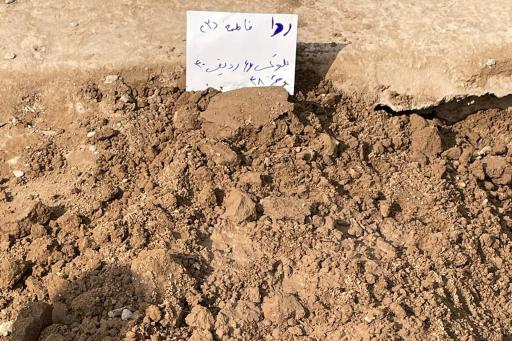 عکس ردا فاطمه نامدار