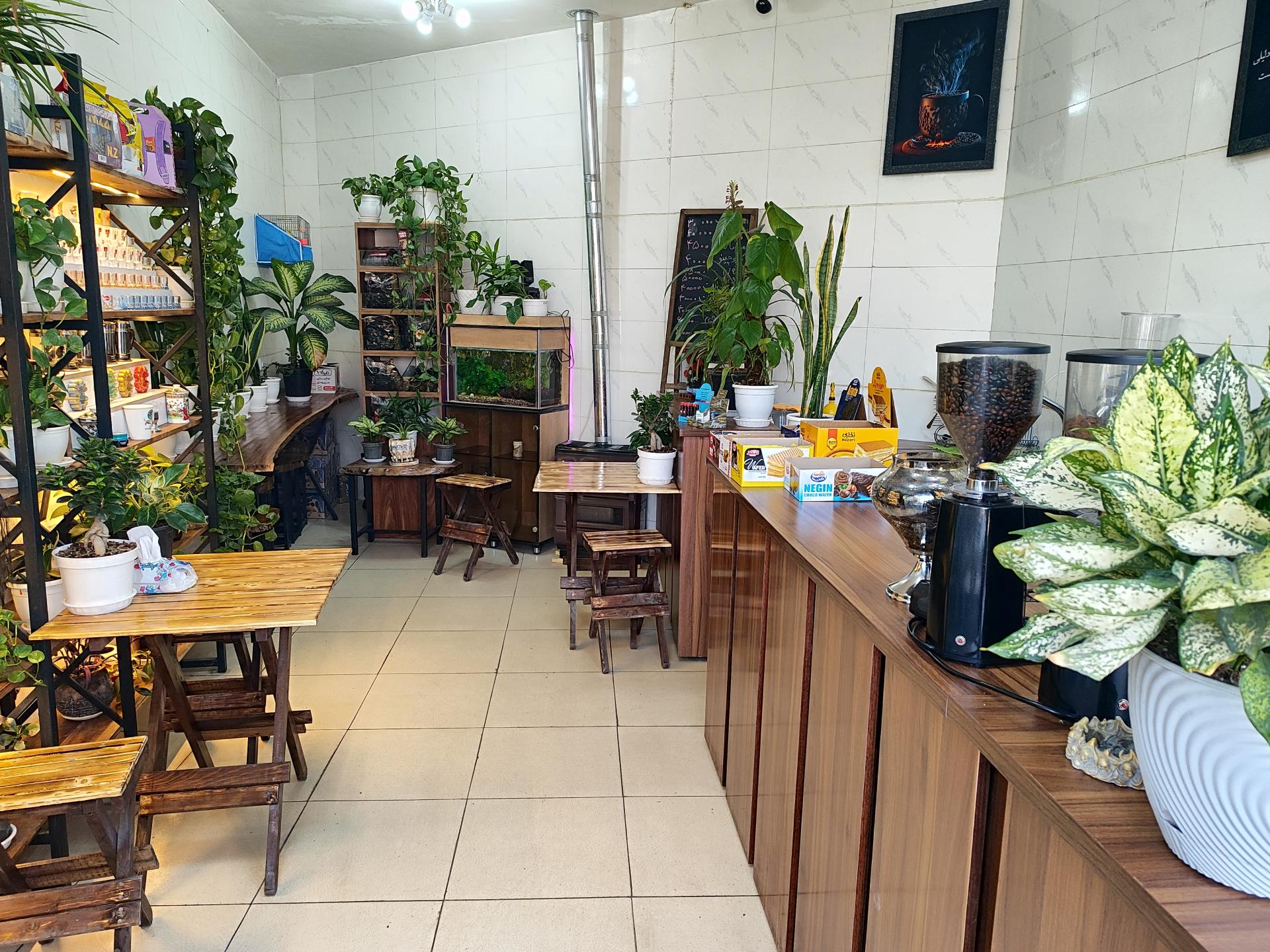 عکس قهوه داچی