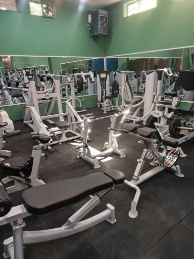 عکس باشگاه ورزشی هنر بدن ۲