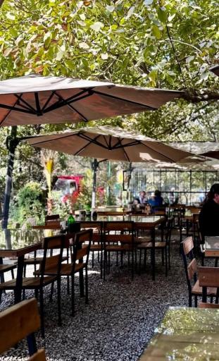 عکس کافه باغ نوبهار