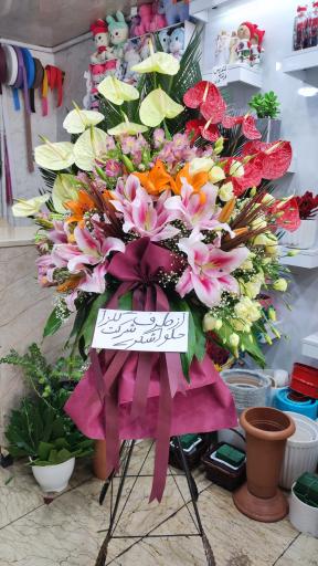 عکس گلسرای رزیران 