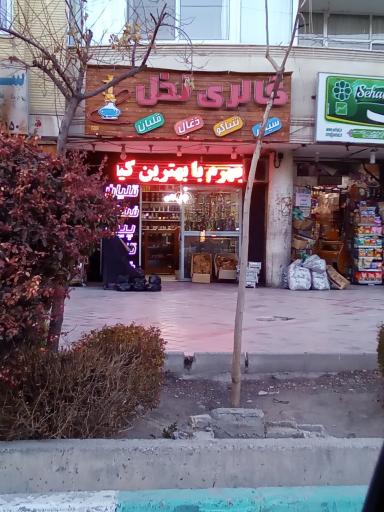 عکس گالری نخل